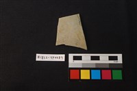 藏品(陶片)的圖片