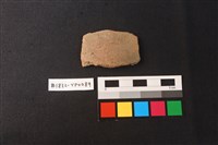 藏品(陶片)的圖片