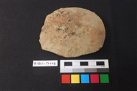 藏品(陶片)的圖片