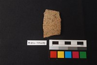 藏品(陶片)的圖片