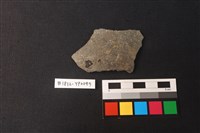 藏品(陶片)的圖片