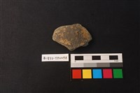 藏品(陶片)的圖片