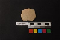 藏品(陶片)的圖片