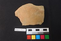 藏品(陶片)的圖片