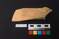 藏品(陶片)的圖片