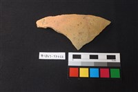 藏品(陶片)的圖片