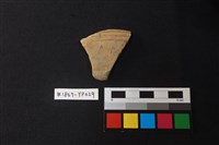 藏品(陶片)的圖片