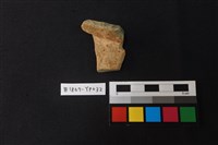 藏品(陶片)的圖片