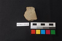 藏品(陶片)的圖片
