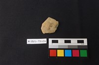 藏品(陶片)的圖片