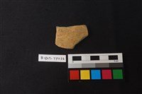 藏品(陶片)的圖片