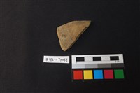 藏品(陶片)的圖片