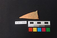 藏品(陶片)的圖片