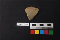 藏品(陶片)的圖片