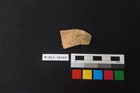 藏品(陶片)的圖片