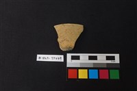 藏品(陶片)的圖片