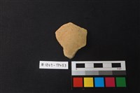 藏品(陶片)的圖片