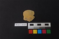 藏品(陶片)的圖片