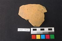 藏品(陶片)的圖片