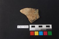 藏品(陶片)的圖片