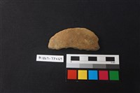 藏品(陶片)的圖片