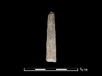 藏品(矛鏃形器)的圖片