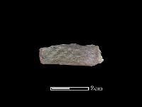 藏品(玉環)的圖片