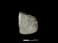 藏品(錛鑿形器)的圖片