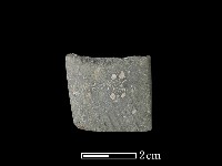 藏品(錛鑿形器)的圖片