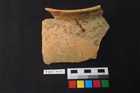 藏品(陶片)的圖片