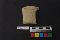 藏品(陶片)的圖片