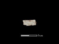 藏品(玉材)的圖片