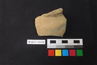 藏品(陶片)的圖片