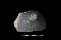 藏品(陶蓋鈕)的圖片