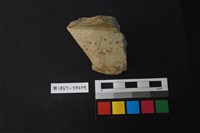 藏品(陶片)的圖片