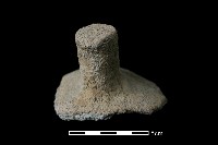 藏品(陶蓋鈕)的圖片