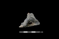 藏品(陶蓋鈕)的圖片