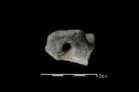 藏品(陶蓋鈕)的圖片