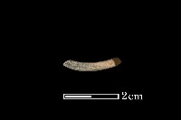 藏品(陶環)的圖片