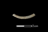 藏品(陶環)的圖片