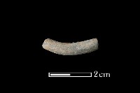 藏品(陶環)的圖片