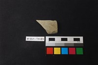 藏品(陶片)的圖片