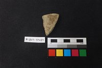 藏品(陶片)的圖片