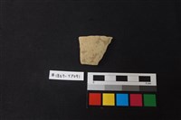 藏品(陶片)的圖片