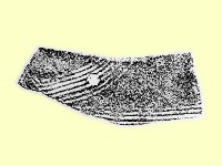 藏品(陶片)的圖片