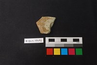 藏品(陶片)的圖片