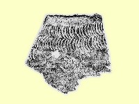 藏品(陶片)的圖片