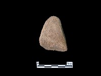 藏品(陶片)的圖片