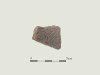 藏品(陶片)的圖片