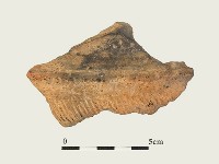 藏品(陶片)的圖片